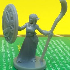ElfMage.jpg Free STL file Elfmaid Wizard・3D print object to download
