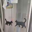 20221007_202220.jpg Cats 1 - 3D Model Silhouettes - Fridge Magnets, Gifts, Decorations, Souvenirs, Teaching Supplies