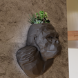 low-poly-wall-planter-1.png Gorilla low poly wall planter pot flower vase stl 3d print file