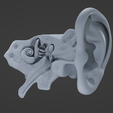 E1.png Archivo STL Corte de oreja・Plan para descargar y imprimir en 3D