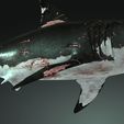 05y.jpg SHARK, DOWNLOAD Shark 3D modeL - Animated for Blender-fbx-unity-maya-unreal-c4d-3ds max - 3D printing SHARK SHARK FISH - TERROR  - PREDATOR - PREY - POKÉMON - DINOSAUR - RAPTOR