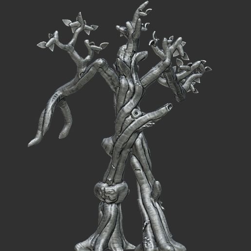 Beech-treeant2.jpg Beech treent