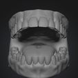 dente2.jpg Arch Anatomical Model/ Dental prototype (Fixed & Articulated Versions) - 1:1 Scale