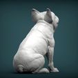 French-Bulldog6.jpg French Bulldog 3D print model