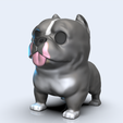 american-bully-color.233.png FUNKO POP DOG (AMERICAN BULLY)