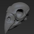 Parrot skull V01-01.jpg STL file Parrot skull・3D printable design to download