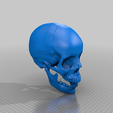 skull_w_jaw.png Human skull, anatomically correct and printer friendly **updated with jaw**