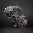 abust.1464.jpg Alien Bust