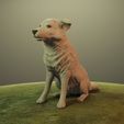 DRENDER7.jpg Cane