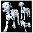 portada-DALMA.png DOG - DOWNLOAD Dalmatian 3d model - Animated for blender-fbx- Unity - Maya - Unreal- C4d - 3ds Max - CANINE PET GUARDIAN WOLF HOUSE HOME GARDEN POLICE  3D printing DOG DOG