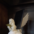 Screenshot-2025-04-27-at-8.26.33 PM.png Pegasus Book and Tablet Display