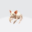 2.jpg Hybrid Sphynx Cat Creature with Insect Legs