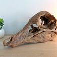 IMG_20210418_110757.jpg Dinosaur skull -  Struthiomimus altus