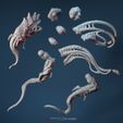 Toxivolator-bits.jpg Malevolator/Toxivolator double kit