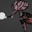 19.png 3D Model of Brain, Brain Stem and Eyes
