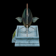 Dentex-mouth-statue-20.png fish Common dentex / dentex dentex open mouth statue detailed texture for 3d printing