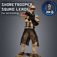 1.jpg Shore trooper Squad leader Fan art Star wars