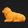 3842-Chow_Chow_Smooth_Pose_07.jpg Chow Chow Smooth Dog 3D Print Model Pose 07