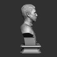 016.jpg Donnie Yen Bust Sculpture