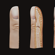 Fingernail_Render.png Finger and Fingernail Cross Section Anatomy