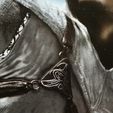 IMG_20190302_145558.jpg Altaïr's chest harness / Plaque du harnais de poitrine d'Altaïr