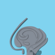 6E015252-77F0-4C97-8889-899DE8579D12.png GD3D Articulated Jellyfish
