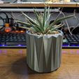 5336_0.jpg Geometric Shape-Succulent Plant Pot Design