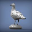 gull3.jpg Herring gull 3D print model