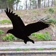 eagle_decal_1_3dprintny.jpg Bird Decals for Bird Safety