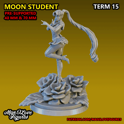 SAILORMOON2.png 3D file Moon Student Mini・3D printing model to download