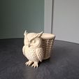 1a375baa-76fa-41eb-8c76-cf57681e7161.jpg Cute Owl Planter. With commercial license
