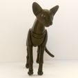 IMG_20191122_140913.jpg STL file Oriental Cat BJD・3D print design to download