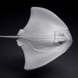 04177e19-b700-49da-8d04-397701d2697b.png Ficheiro stl pronto para o Stingray