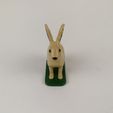 lievre-2.jpg Realistic educational hare