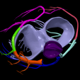 15.png Modèle 3D de la valve aortique bicuspide (BAV)