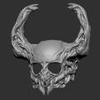 Screenshot_102.jpg Hollow Knight Helmet
