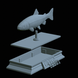 Trout-money-10.png fish sculpture of a trout with storage space for 3d printing