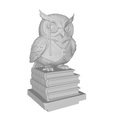 b1.png Library Concierge Owl