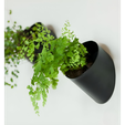 pixelcut-export-13.png ANGLE HANGER PLANTER