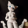 20250109_234232.png Ball Jointed Cat Girl, Model name Brie