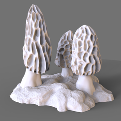 01-morchella.png STL file Morchella mushroom・Design to download and 3D print