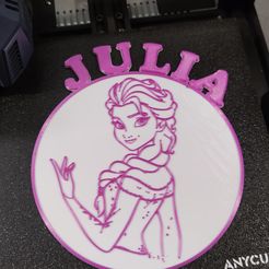 IMG_20230625_115134.jpg Placa de reina de las nieves ELSA, nombre JULIA