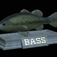 Bass-statue-21.png fish Largemouth Bass / Micropterus salmoides statue detailed texture for 3d printing