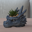 1.png Dragon Head Succulent Planter