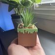 IMG_0348.jpg Minecraft Succulent Planter Collection