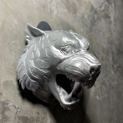 Tiger Head 01