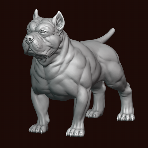American Bully 3D model