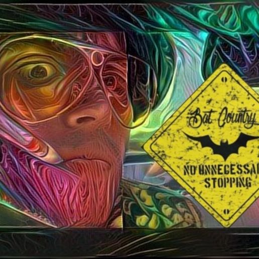 Bat country 3D model