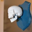 IMG_3394.jpg Skull Trophy