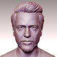 08.jpg Robert Downey 3D portrait sculpture